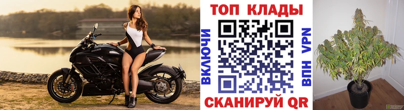 Что такое Тара МАРИХУАНА КОКАИН Гашиш Амфетамин Мефедрон