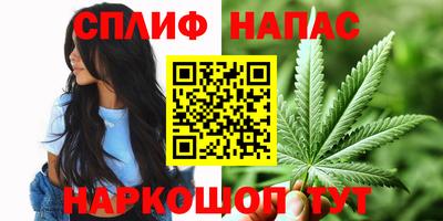 кокс Донской