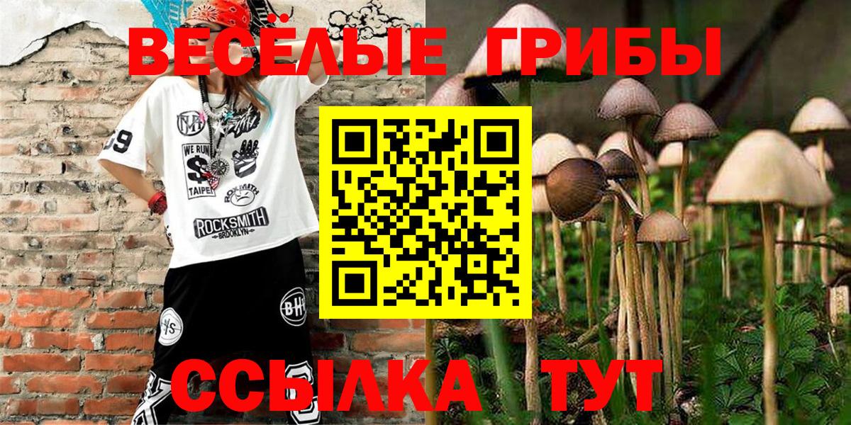 Псилоцибиновые грибы Psilocybe Тара