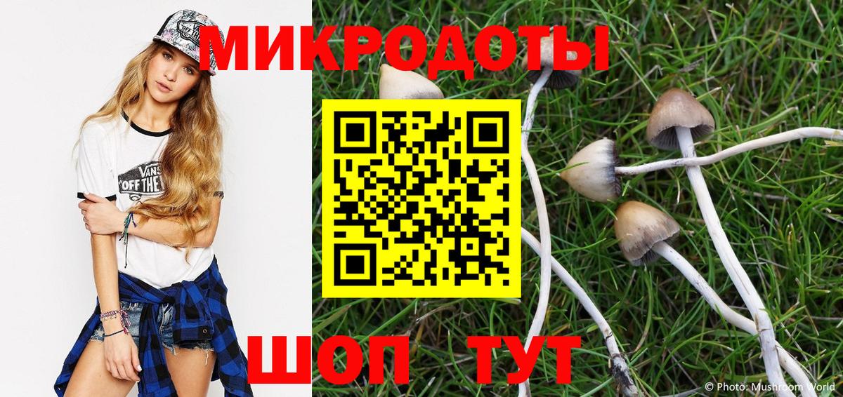 Галлюциногенные грибы MAGIC MUSHROOMS  Тара 