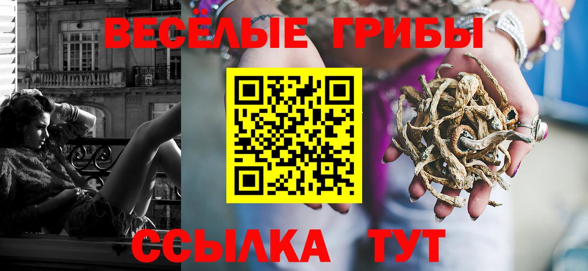 Псилоцибиновые грибы Psilocybine cubensis Тара
