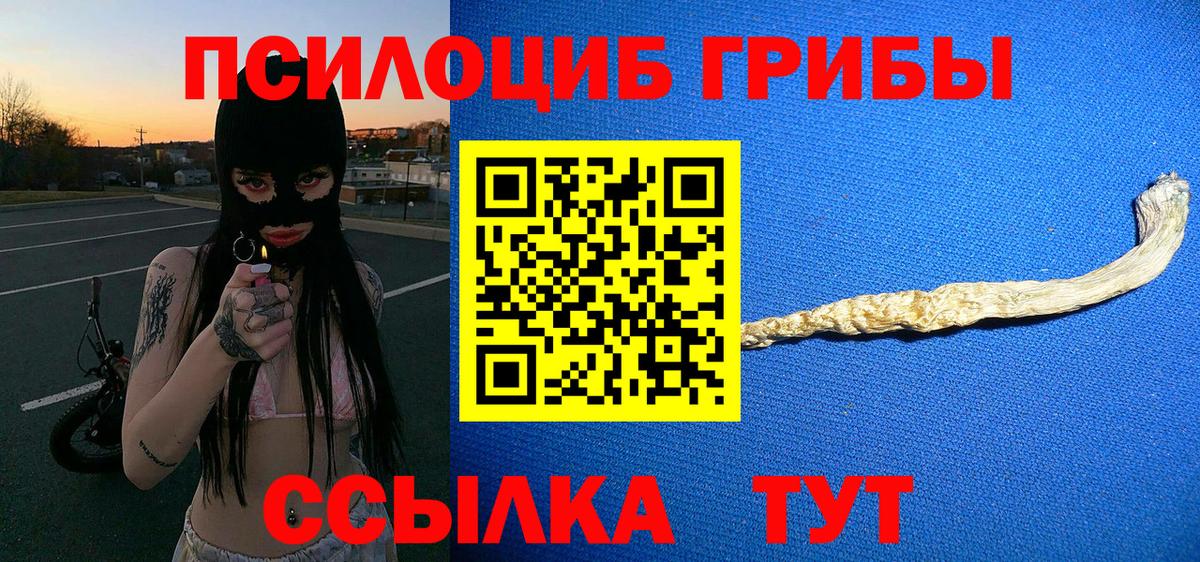 Галлюциногенные грибы прущие грибы  Вход с VPN  Тара 